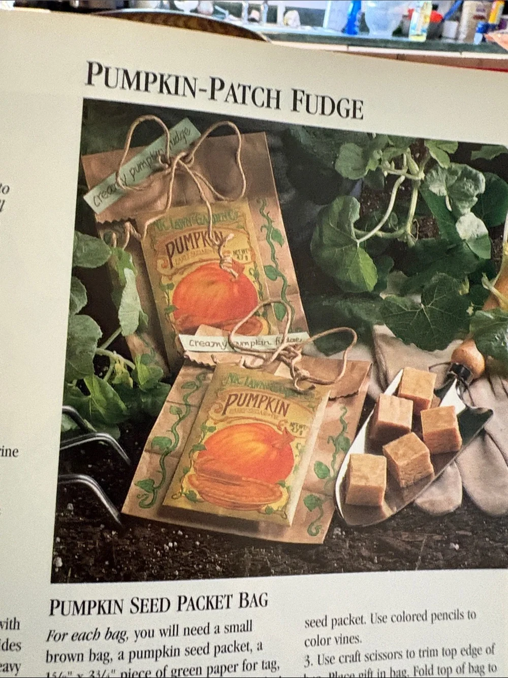 It'sInTheBag!TastyGiftsinCraftySacks-DecorativeGiftBagCraftBook